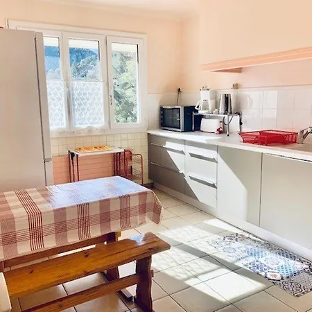 F2 Avec Garage, Terrasse Et Véranda, à 500m Du Centre Et 600m Des Cures à Amélie-les-bains - Fr-1-703-131 Apartamento *